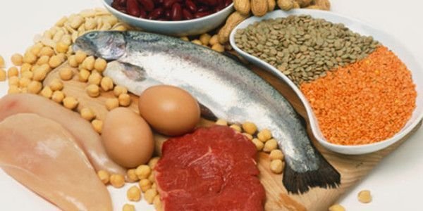 quanto de proteína você precisa?