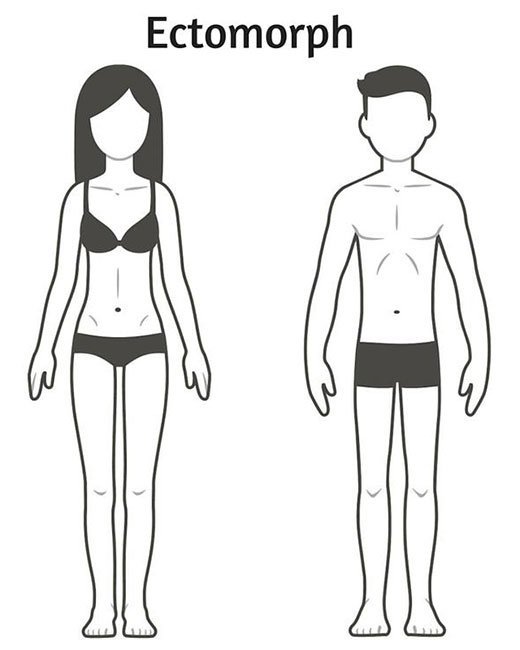 três tipos de corpo explicaram