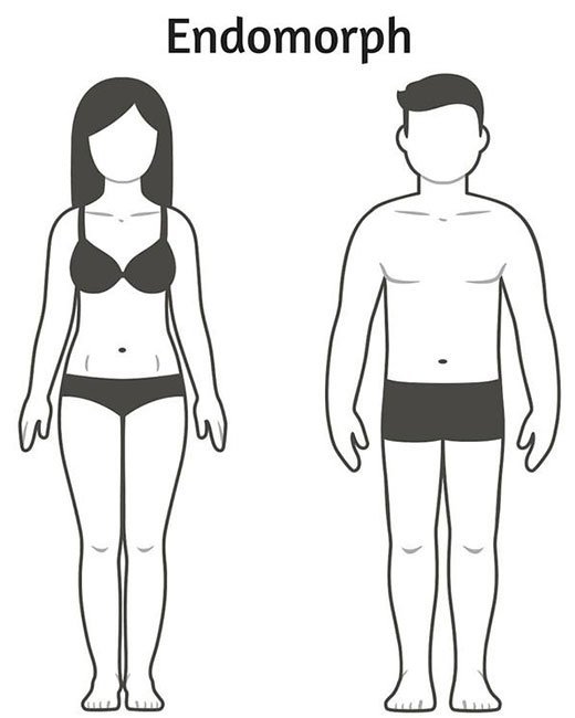 três tipos de corpo explicaram